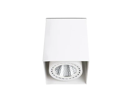 Потолочный светильник Teko-1 белый LED 12-18W 3000K 56є - фото 2