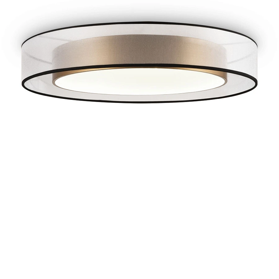 Потолочный светильник Freya FR6005CL-L48G