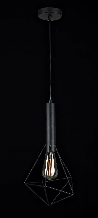 Подвесной светильник Maytoni T021-01-B - фото 6